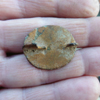 roman plate brooch